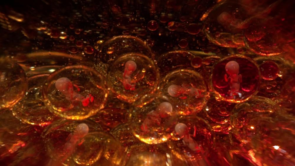 خدای دیوانه