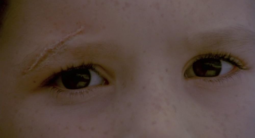 در یک قفسه شیشه ای