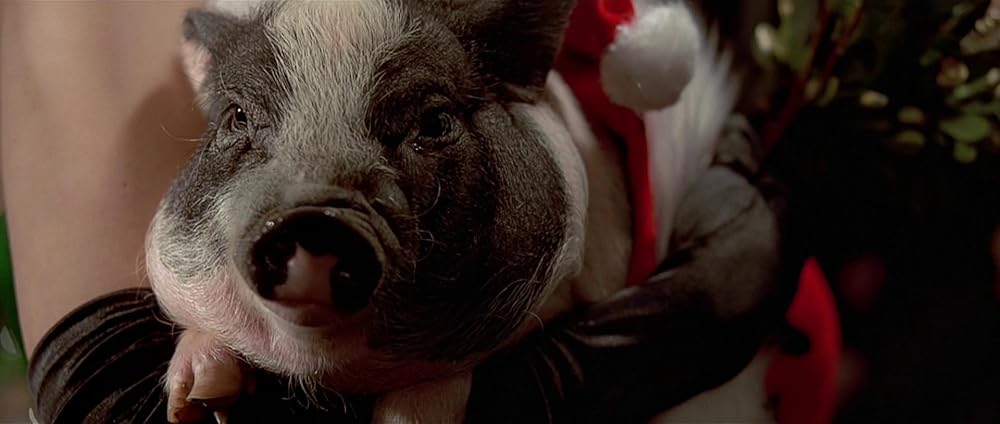 روانی آمریکایی