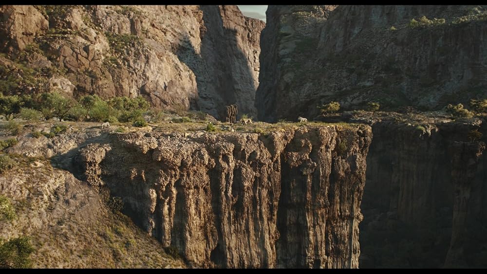 موفاسا: فرمانروای شیرها