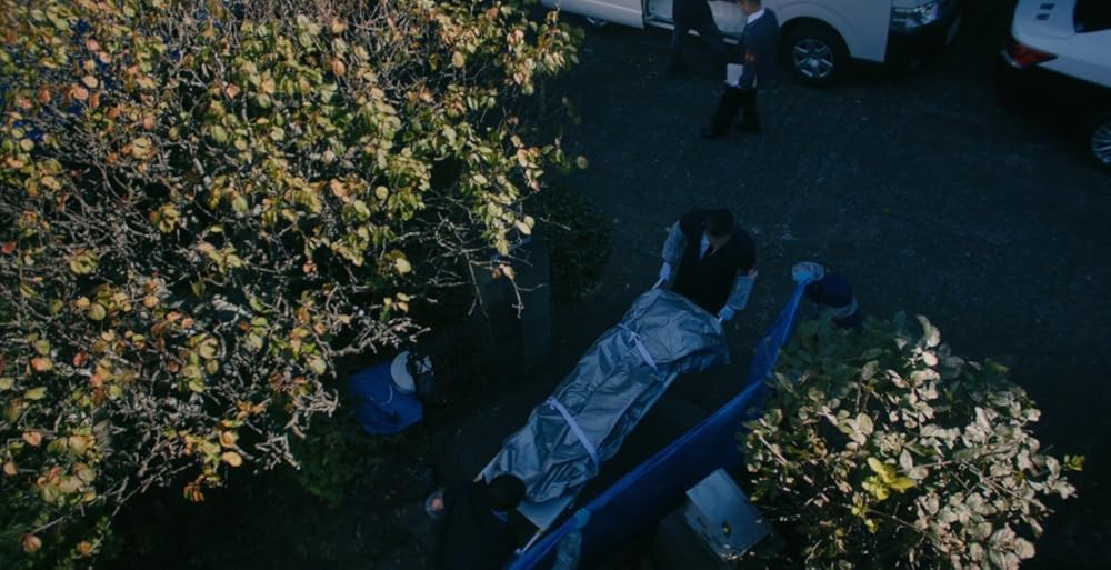 خاندان سایوری