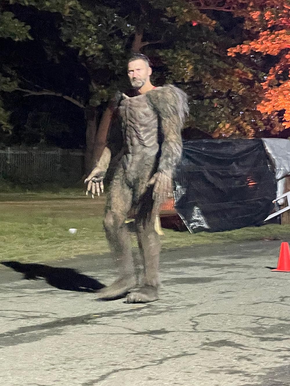 افسانه گرگینه‌ها