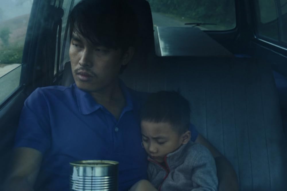 درون پوسته پیله زرد