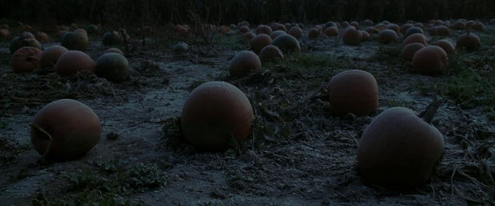 جن‌ گیری امیلی رز