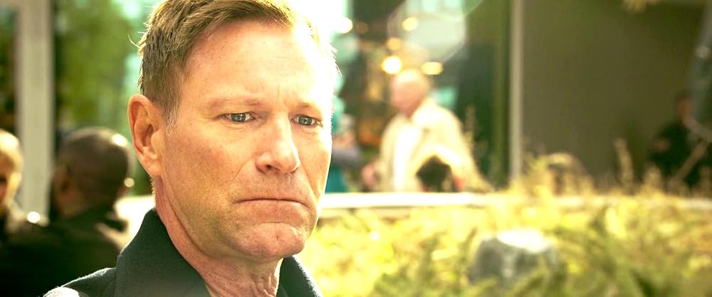 طبقه بندی شده