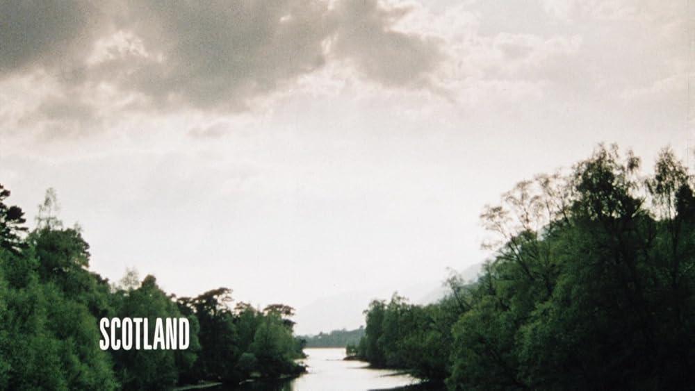 سربازان سگی