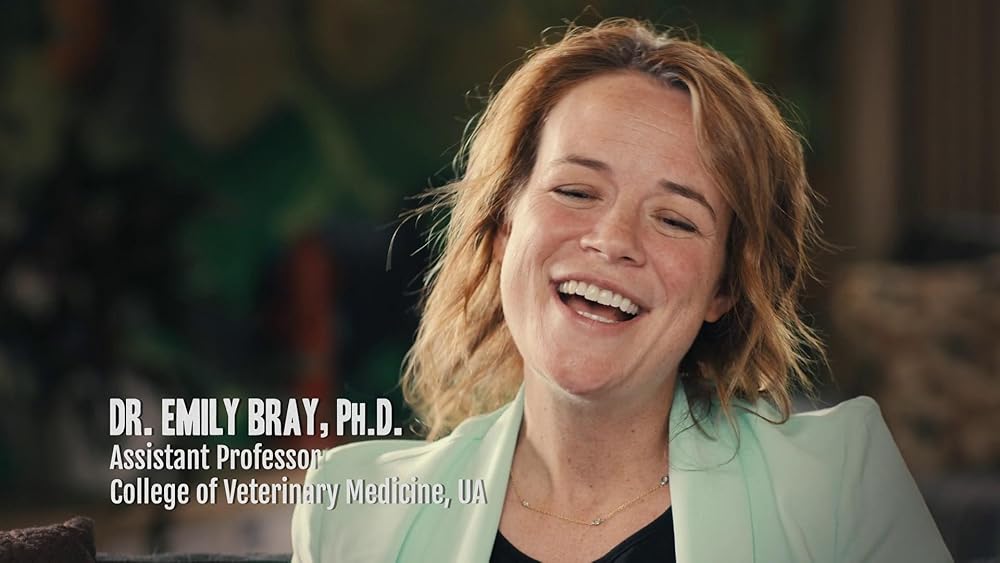 درون ذهن یک سگ