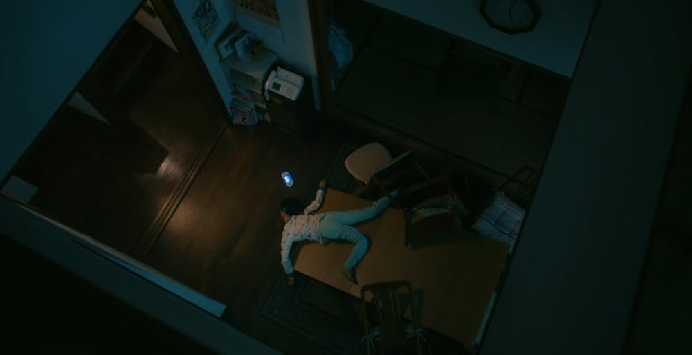 خاندان سایوری