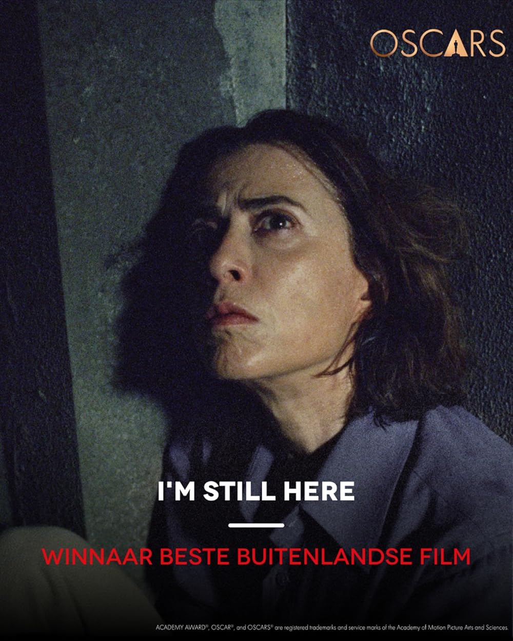 هنوز اینجا هستم