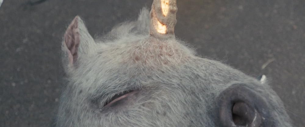 مرگ یک تک‌شاخ