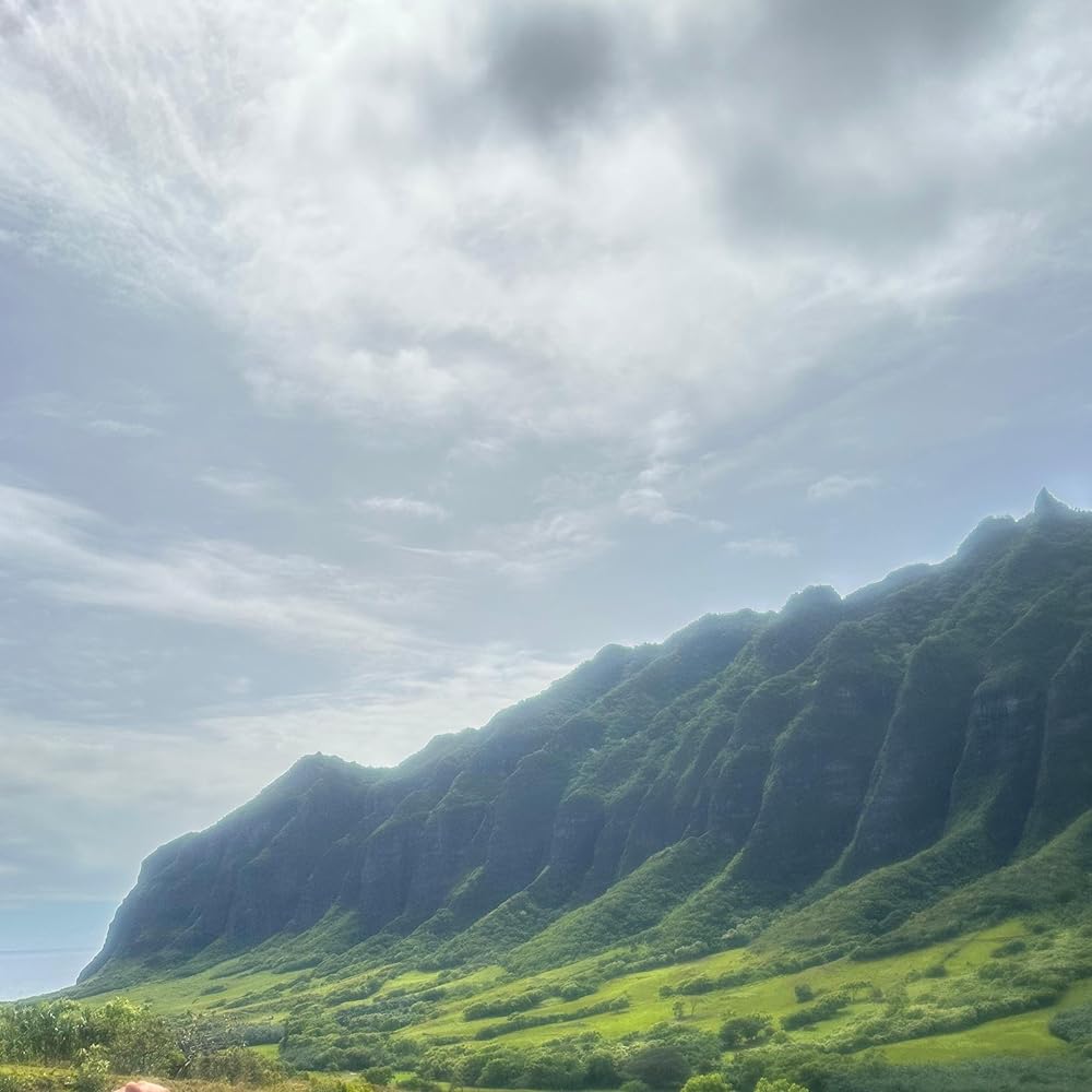 لیلو و استیچ