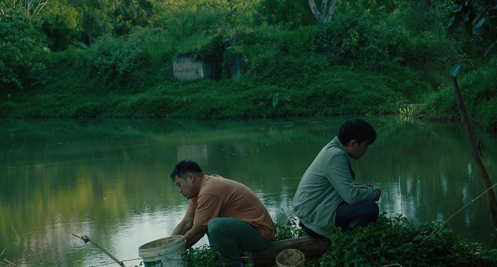 درون پوسته پیله زرد