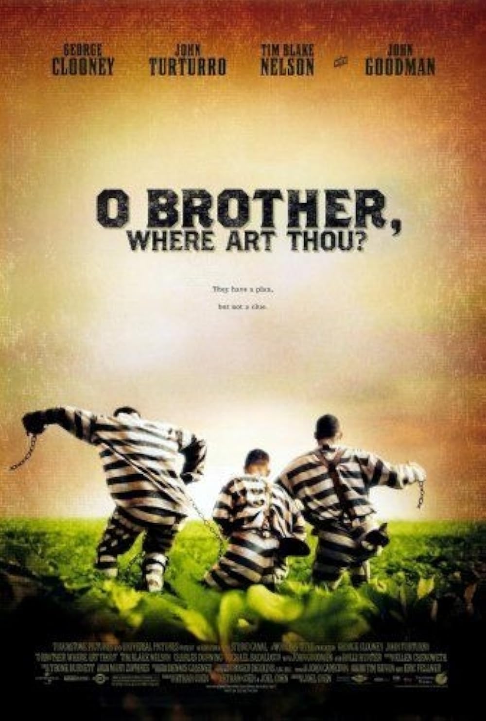 ای برادر، کجایی؟