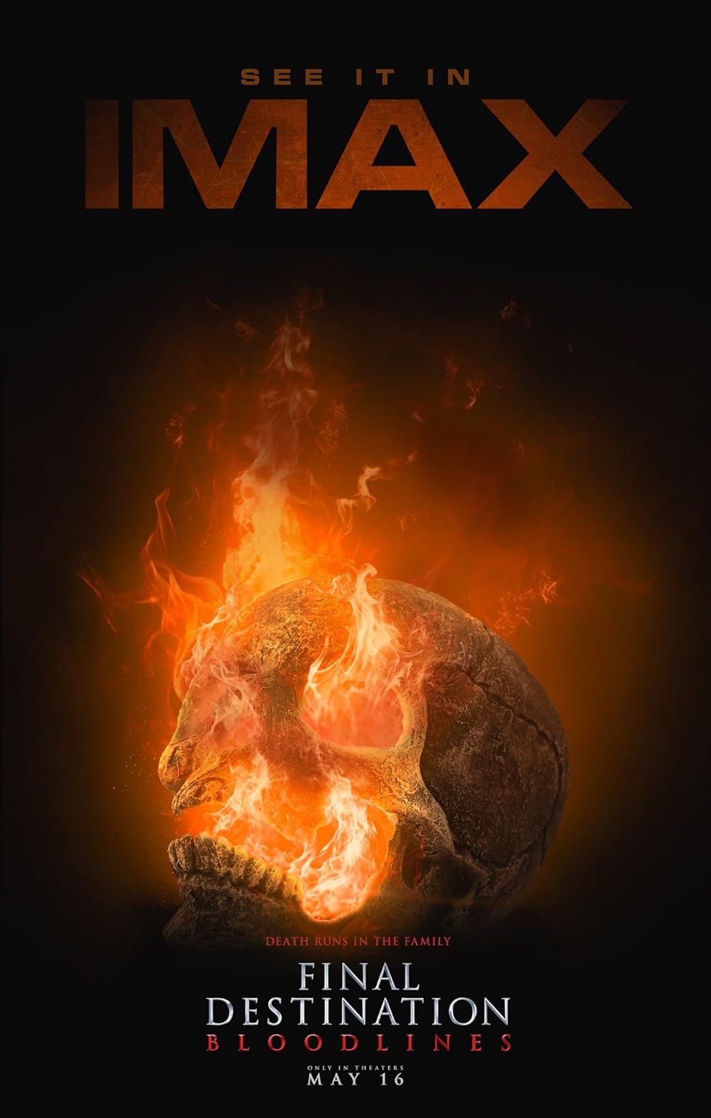 مقصد نهایی: خطوط خونی