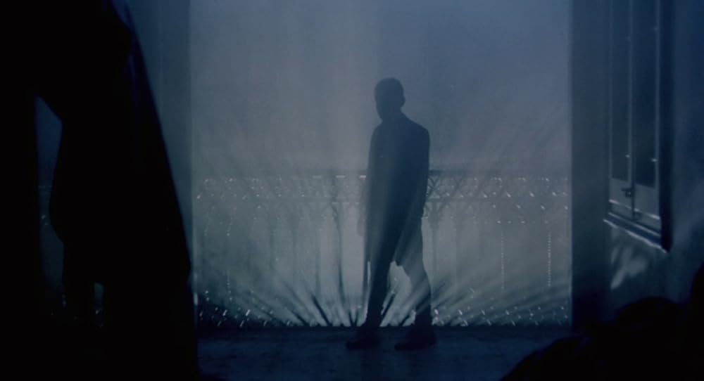 در یک قفسه شیشه ای