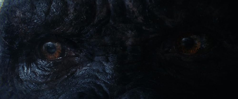 کونگ جزیره جمجمه