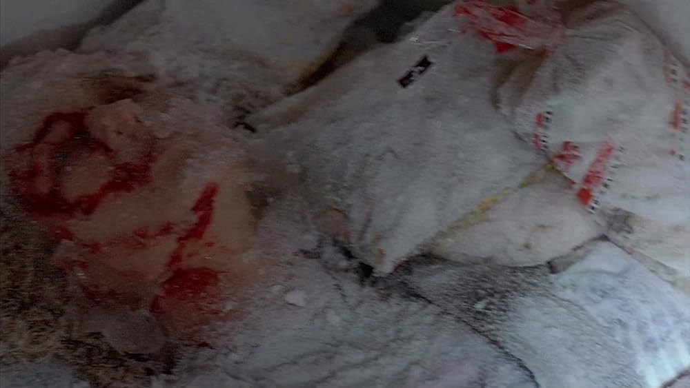 گاز گرفتن جینجر