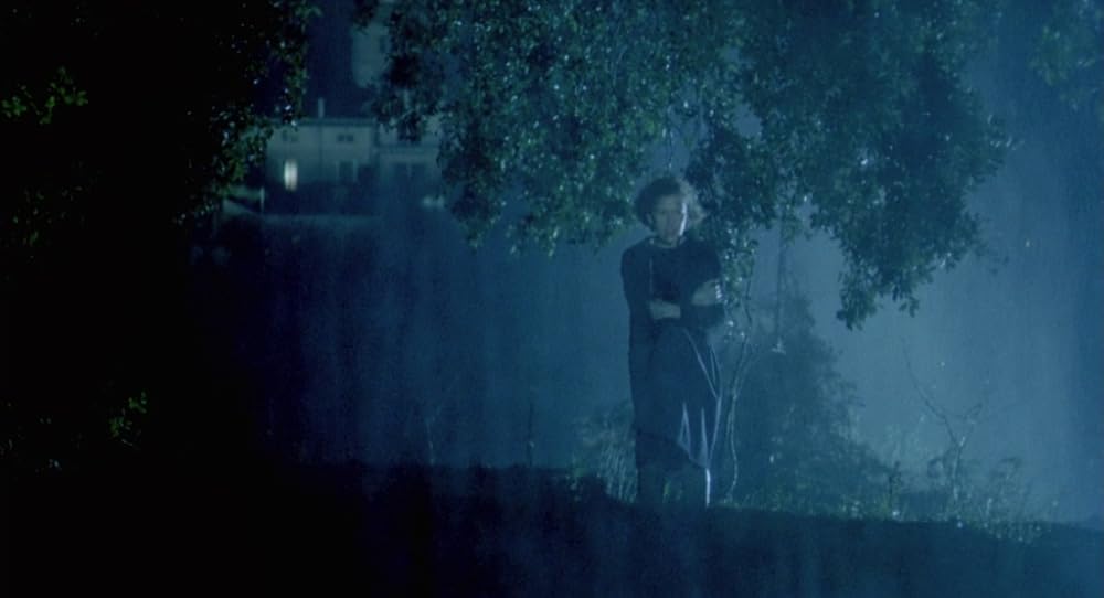 در یک قفسه شیشه ای