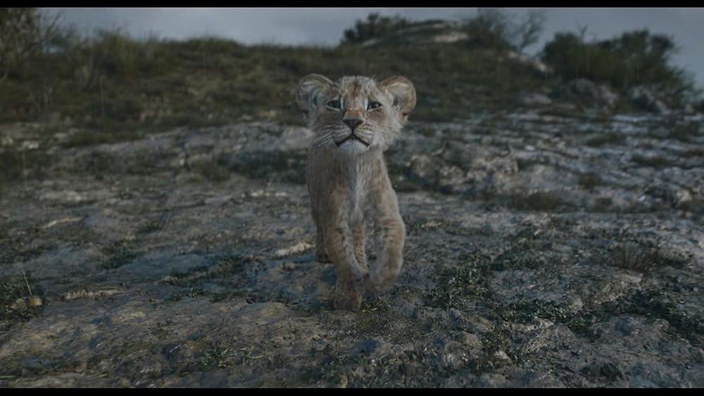 موفاسا: فرمانروای شیرها