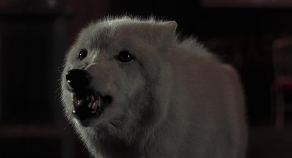 دراکولای برام استوکر