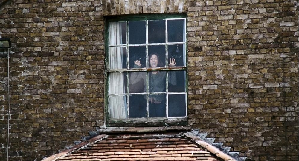 ۲۸ هفته بعد