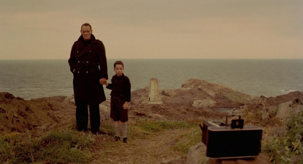 در یک قفسه شیشه ای