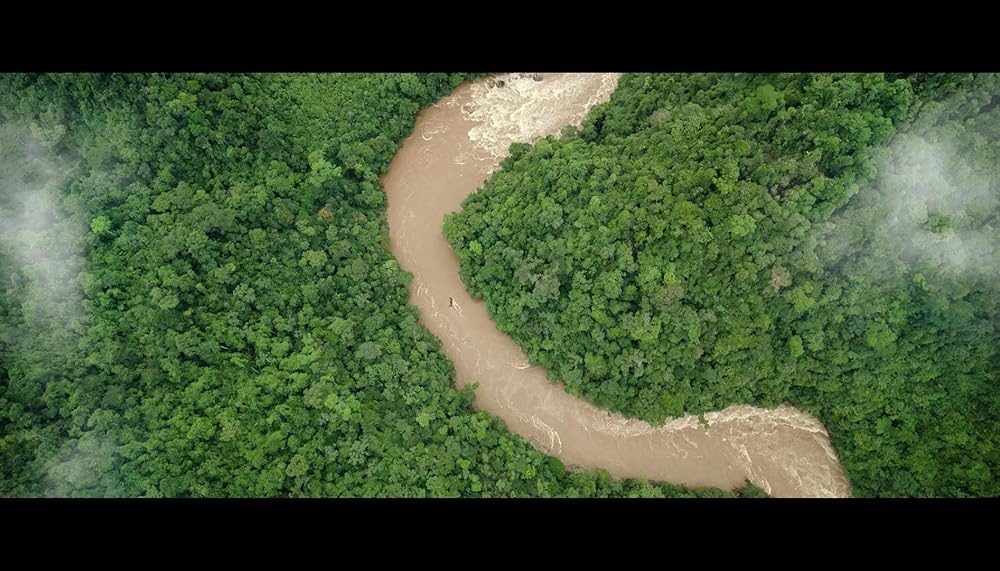 پدینگتون در پرو