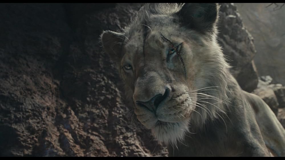 موفاسا: فرمانروای شیرها