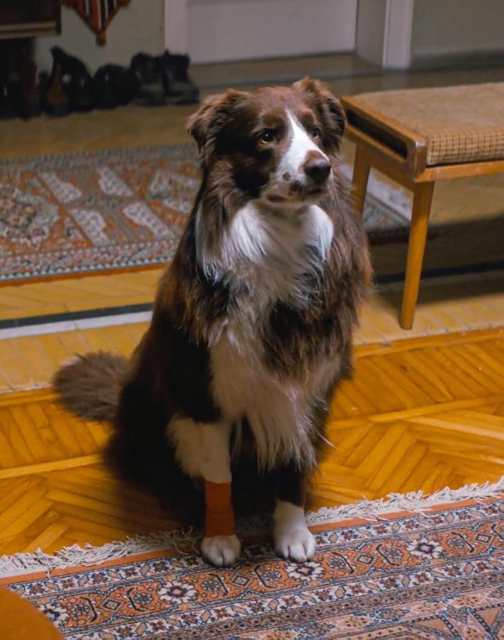 دو جهان یک آرزو