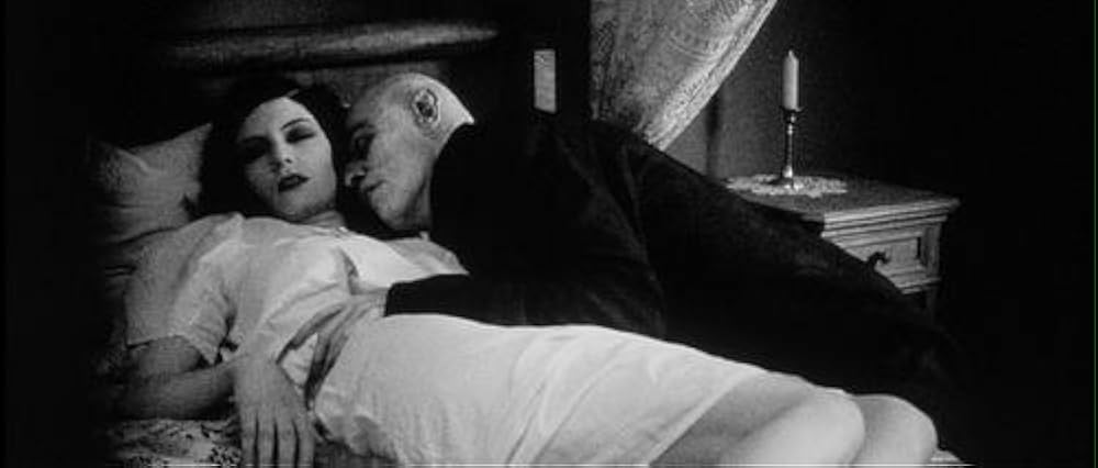 سایهٔ خون‌آشام