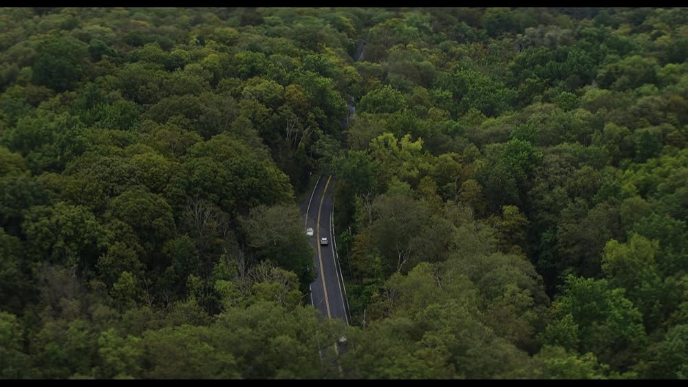 آنچه در وحشی گذشت؛ مروری بر فصل اول