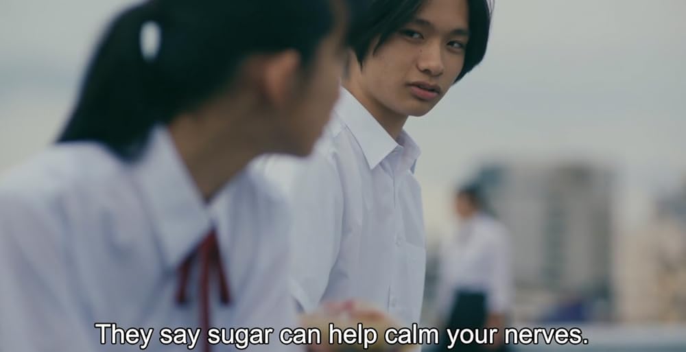 خاندان سایوری