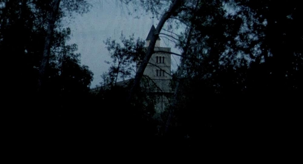 در یک قفسه شیشه ای