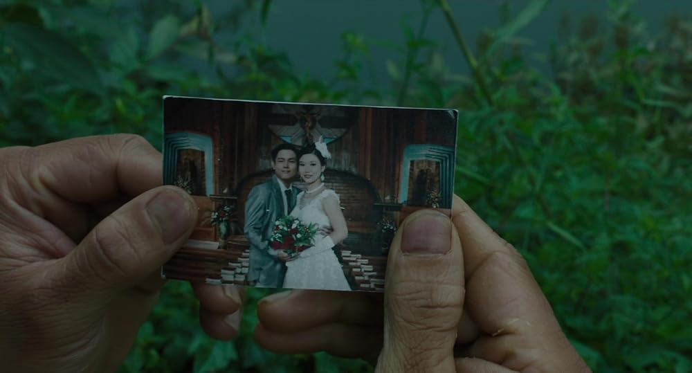 درون پوسته پیله زرد