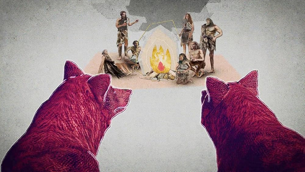 درون ذهن یک سگ