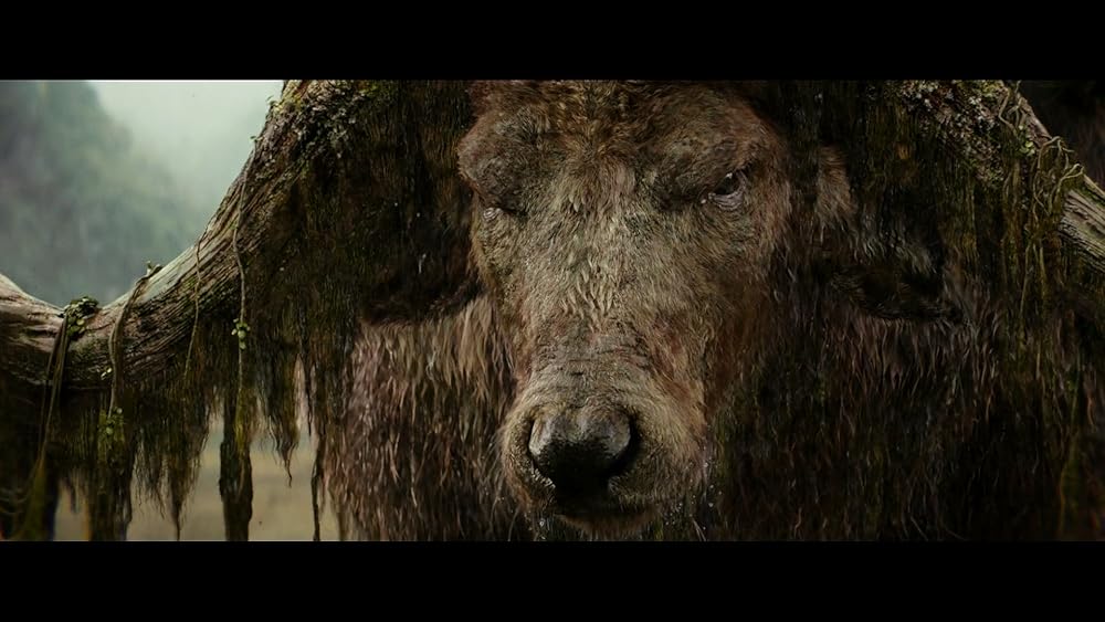 کونگ جزیره جمجمه