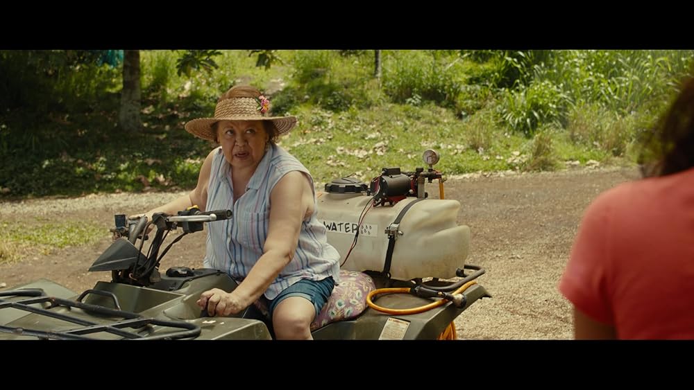 لیلو و استیچ