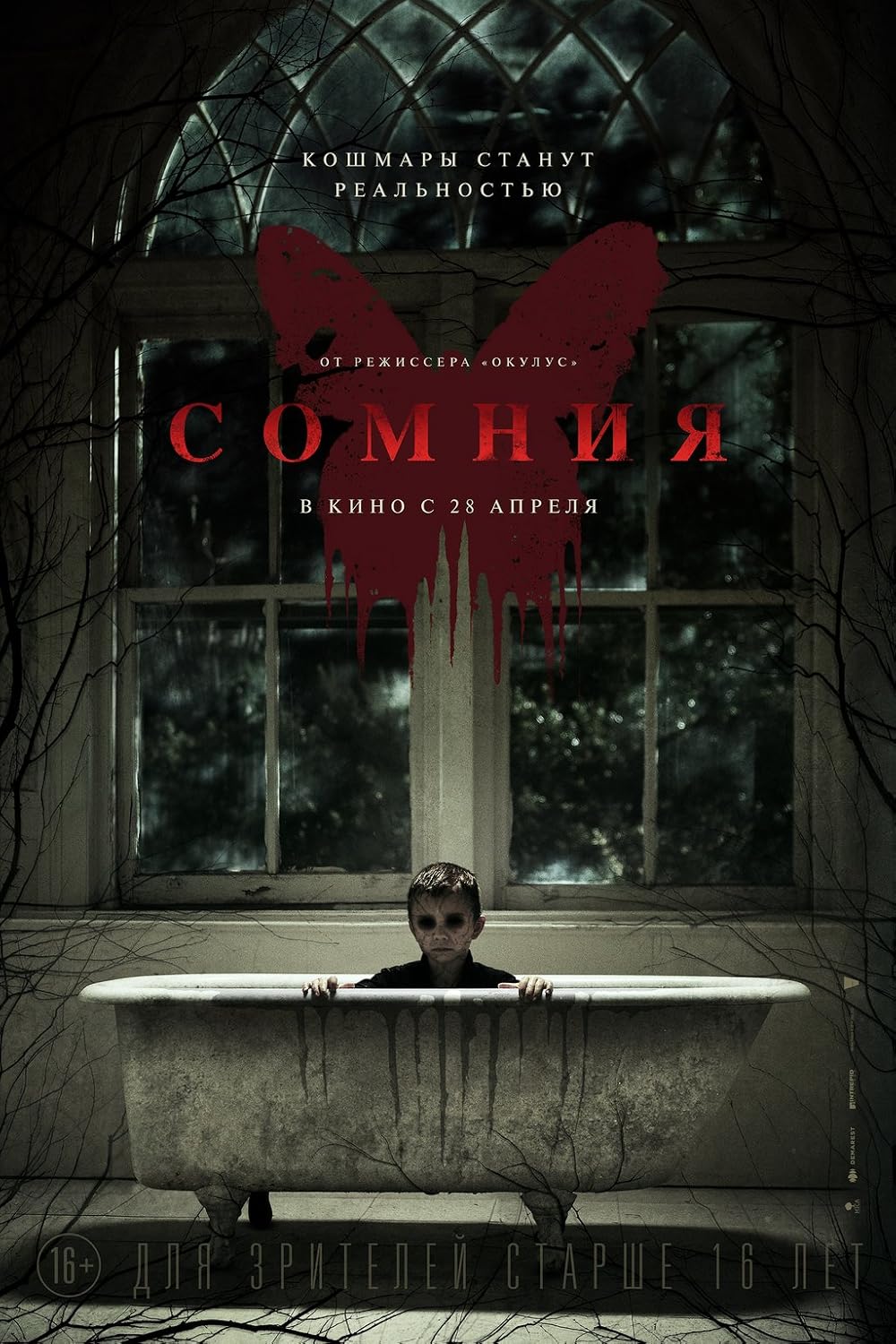 پیش از آنکه بیدار شوم