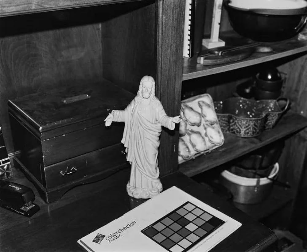 انواع مهربانی