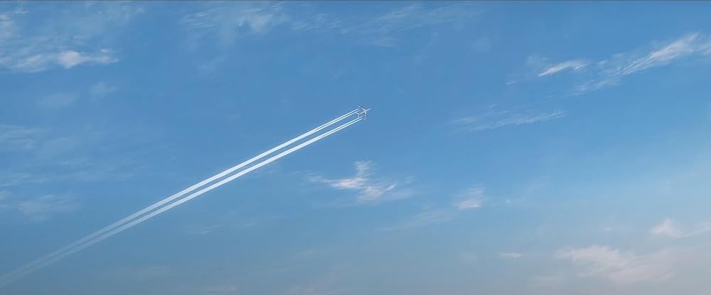 مرد اره برقی - فیلم: رز آرک