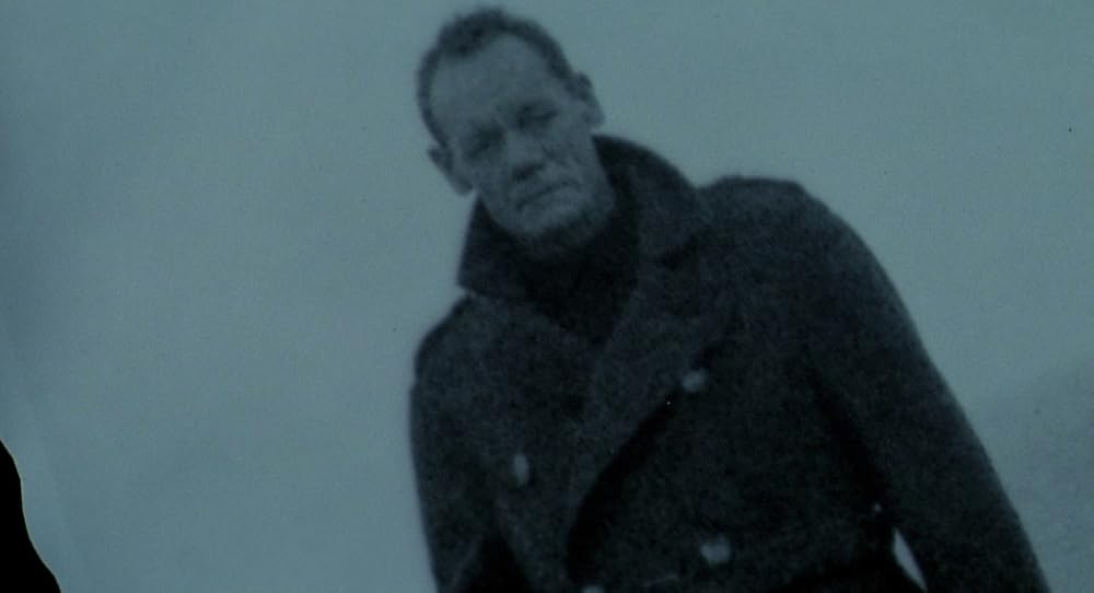 در یک قفسه شیشه ای