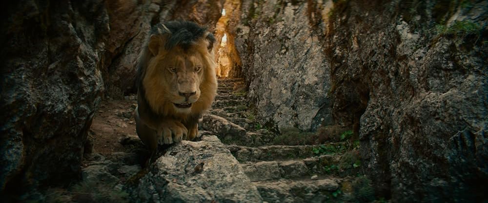 جادوگر شهر زمرد: راه جاده زرد