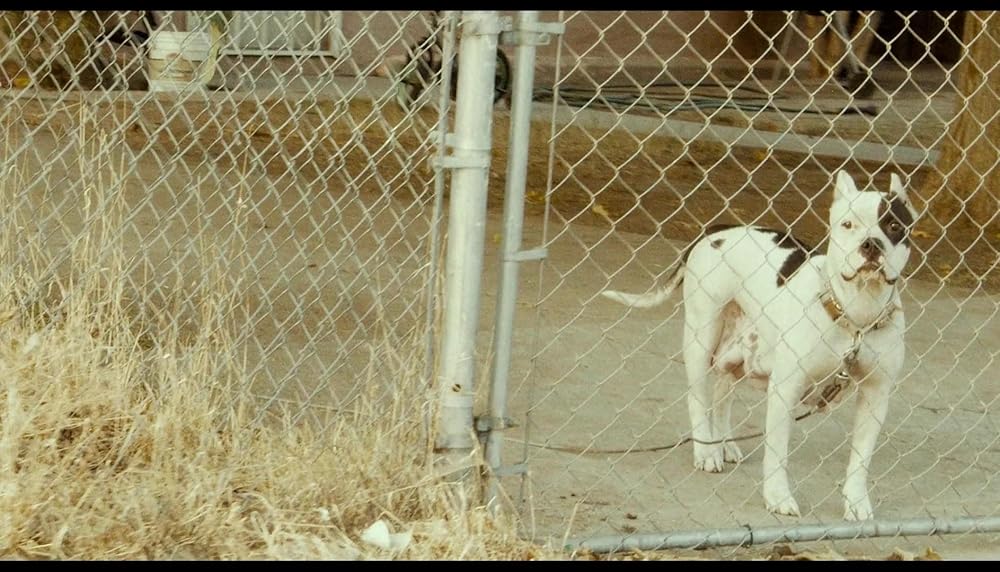 هانی انجام نده!