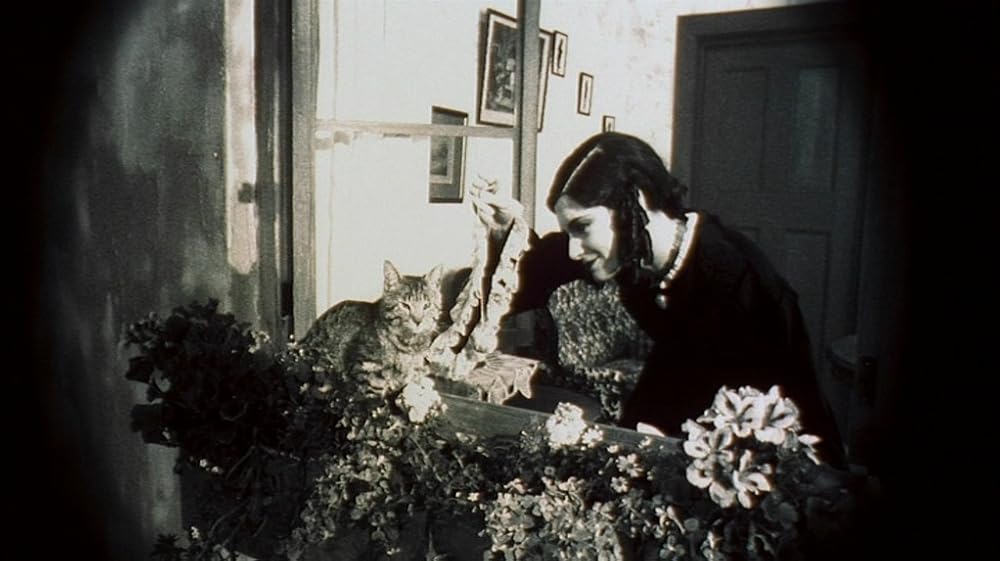 سایهٔ خون‌آشام