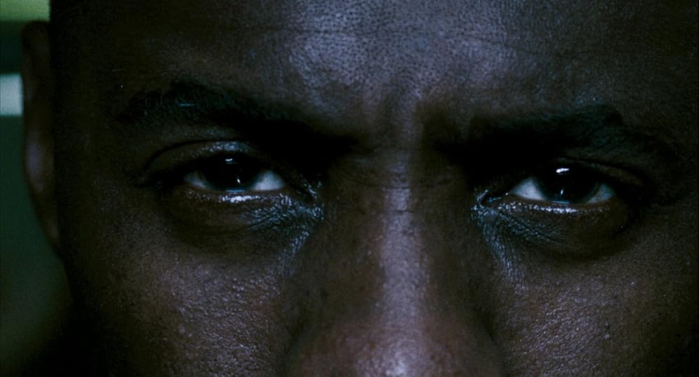 ۲۸ هفته بعد