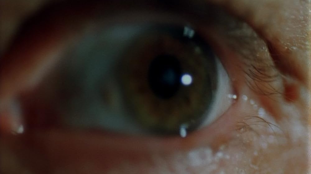 سایهٔ خون‌آشام