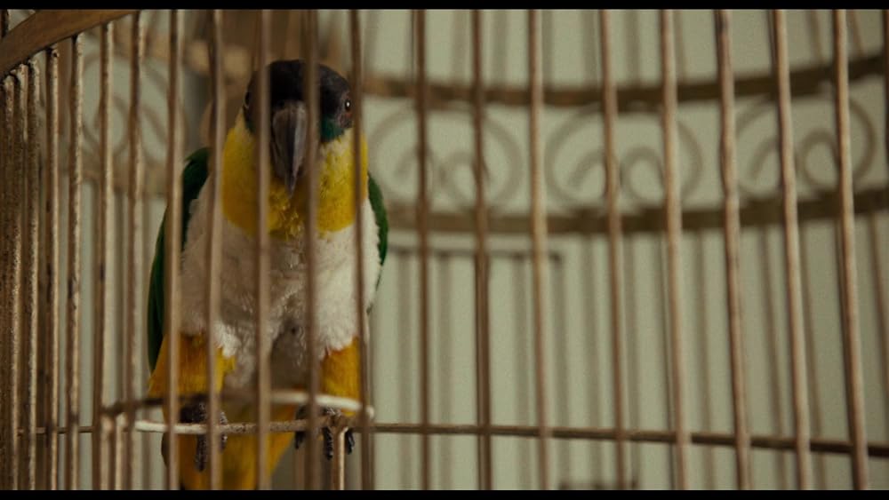 هانی انجام نده!