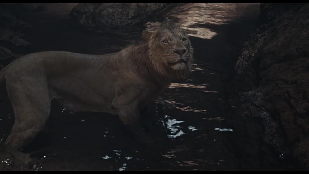 موفاسا: فرمانروای شیرها