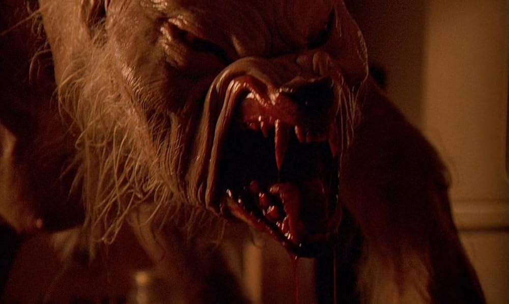 گاز گرفتن جینجر