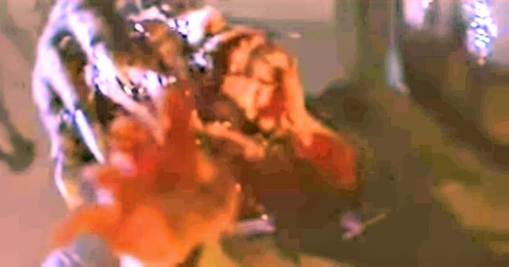 سربازان سگی